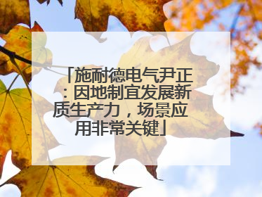 施耐德电气尹正：因地制宜发展新质生产力，场景应用非常关键