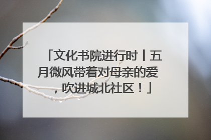 文化书院进行时丨五月微风带着对母亲的爱，吹进城北社区！