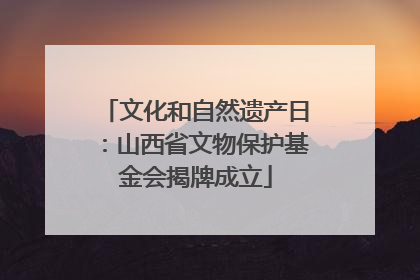 文化和自然遗产日：山西省文物保护基金会揭牌成立