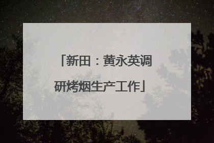 新田：黄永英调研烤烟生产工作
