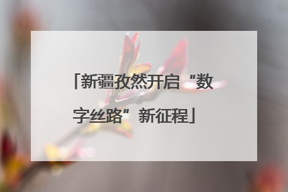 新疆孜然开启“数字丝路”新征程