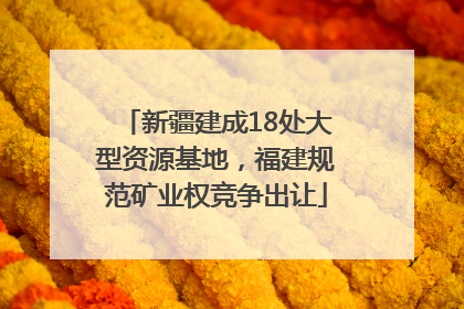 新疆建成18处大型资源基地，福建规范矿业权竞争出让