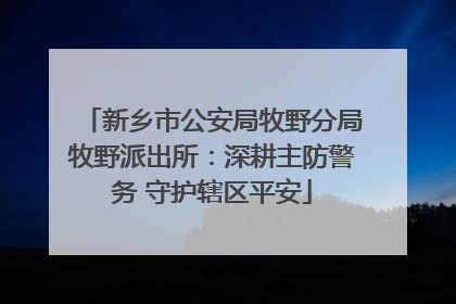 新乡市公安局牧野分局牧野派出所：深耕主防警务 守护辖区平安