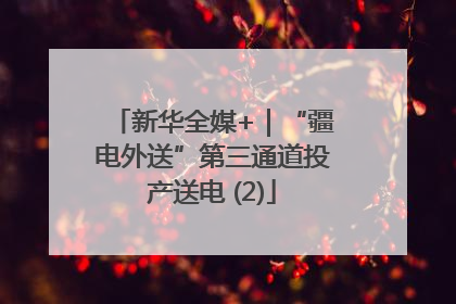 新华全媒+｜“疆电外送”第三通道投产送电 (2)