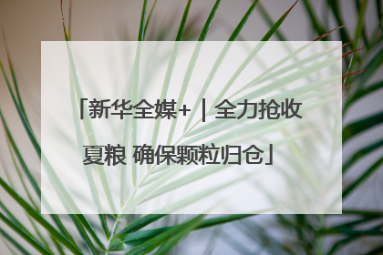 新华全媒+｜全力抢收夏粮 确保颗粒归仓