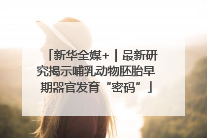 新华全媒+｜最新研究揭示哺乳动物胚胎早期器官发育“密码”