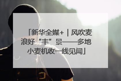 新华全媒+｜风吹麦浪好“丰”景——多地小麦机收一线见闻
