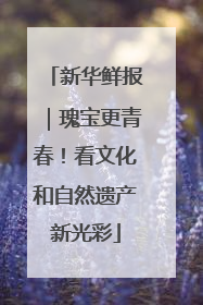 新华鲜报｜瑰宝更青春！看文化和自然遗产新光彩