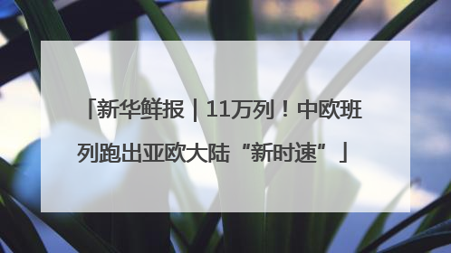 新华鲜报｜11万列！中欧班列跑出亚欧大陆“新时速”