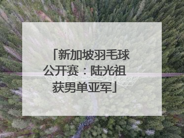 新加坡羽毛球公开赛：陆光祖获男单亚军