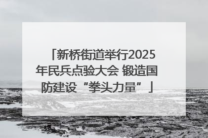 新桥街道举行2025年民兵点验大会 锻造国防建设“拳头力量”