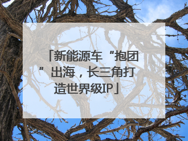 新能源车“抱团”出海，长三角打造世界级IP