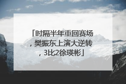 时隔半年重回赛场，樊振东上演大逆转，3比2徐瑛彬