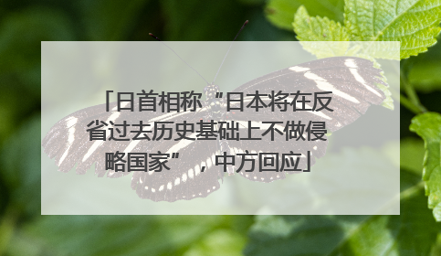 日首相称“日本将在反省过去历史基础上不做侵略国家”，中方回应