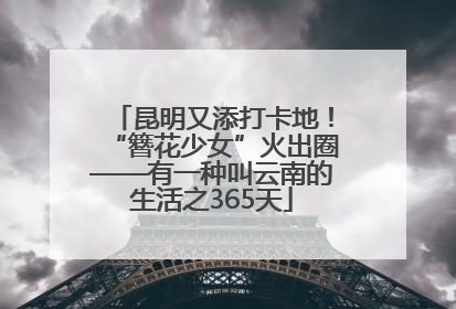 昆明又添打卡地！“簪花少女”火出圈——有一种叫云南的生活之365天