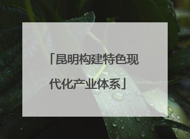 昆明构建特色现代化产业体系