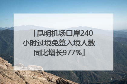 昆明机场口岸240小时过境免签入境人数同比增长977%