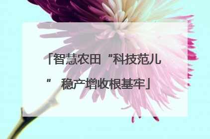 智慧农田“科技范儿” 稳产增收根基牢