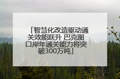 智慧化改造驱动通关效能跃升 巴克图口岸年通关能力将突破300万吨