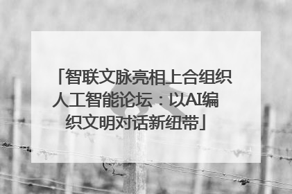 智联文脉亮相上合组织人工智能论坛：以AI编织文明对话新纽带