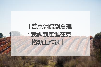 普京调侃副总理：我俩到底谁在克格勃工作过