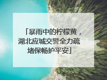 暴雨中的柠檬黄，湖北应城交警全力疏堵保畅护平安