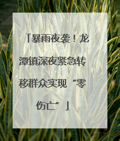 暴雨夜袭！龙潭镇深夜紧急转移群众实现“零伤亡”