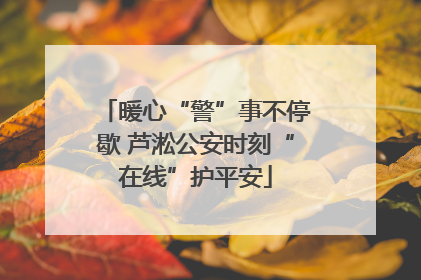暖心“警”事不停歇 芦淞公安时刻“在线”护平安