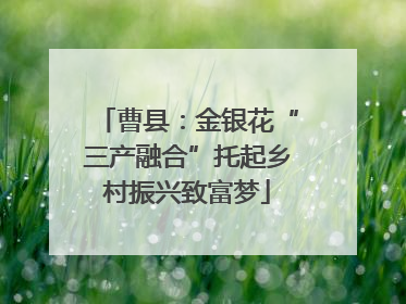 曹县：金银花“三产融合”托起乡村振兴致富梦