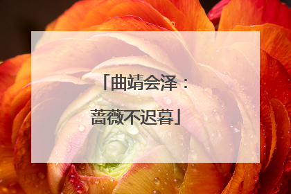 曲靖会泽：蔷薇不迟暮