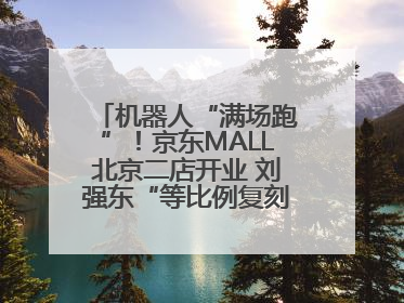 机器人“满场跑”！京东MALL北京二店开业 刘强东“等比例复刻”能否带火线下“618”？