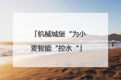 机械城堡“为小麦智能“控水“