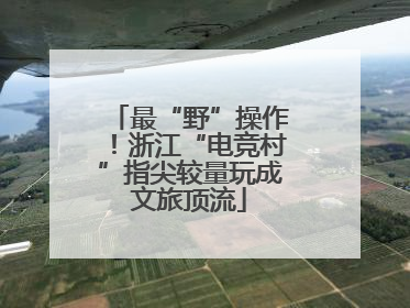 最“野”操作！浙江“电竞村”指尖较量玩成文旅顶流