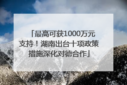 最高可获1000万元支持！湖南出台十项政策措施深化对德合作