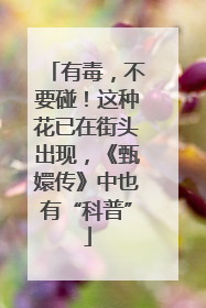 有毒，不要碰！这种花已在街头出现，《甄嬛传》中也有“科普”