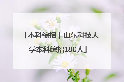 本科综招｜山东科技大学本科综招180人