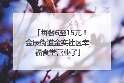 每餐6至15元！金辰街道金实社区幸福食堂营业了
