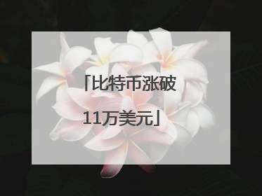 比特币涨破11万美元