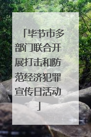 毕节市多部门联合开展打击和防范经济犯罪宣传日活动