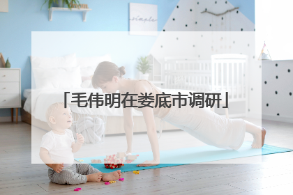 毛伟明在娄底市调研