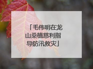 毛伟明在龙山桑植慈利指导防汛救灾