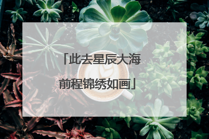 此去星辰大海 前程锦绣如画