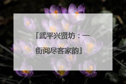 武平兴贤坊：一街阅尽客家韵