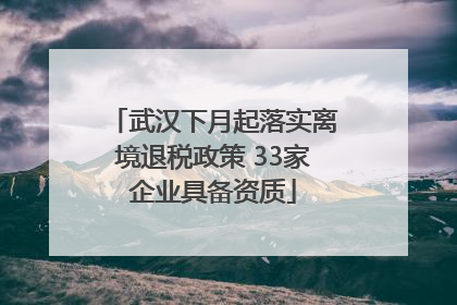 武汉下月起落实离境退税政策 33家企业具备资质