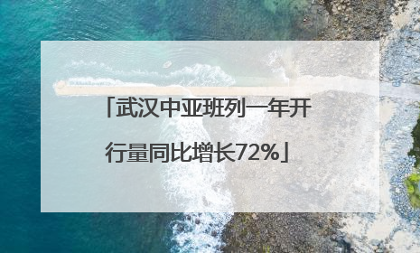 武汉中亚班列一年开行量同比增长72%