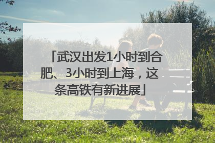 武汉出发1小时到合肥、3小时到上海，这条高铁有新进展