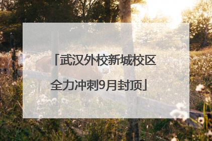 武汉外校新城校区全力冲刺9月封顶