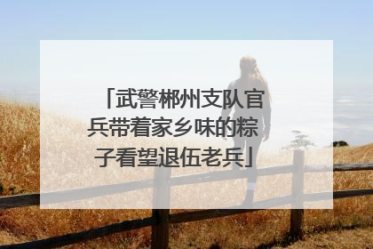 武警郴州支队官兵带着家乡味的粽子看望退伍老兵