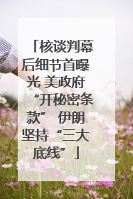 核谈判幕后细节首曝光 美政府“开秘密条款” 伊朗坚持“三大底线”