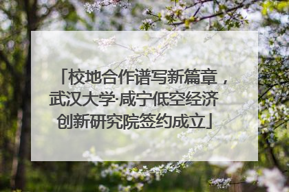 校地合作谱写新篇章，武汉大学·咸宁低空经济创新研究院签约成立